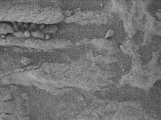 View image taken on Mars, Mars Perseverance Sol 1479: WATSON Camera 