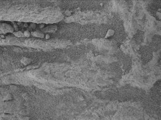 View image taken on Mars, Mars Perseverance Sol 1479: WATSON Camera 