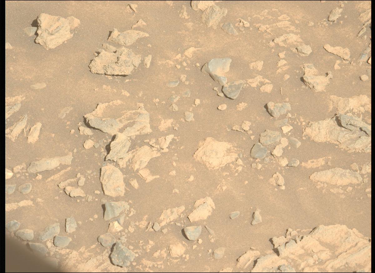 This image was taken by MCZ_LEFT onboard NASA's Mars rover Perseverance on Sol 1479