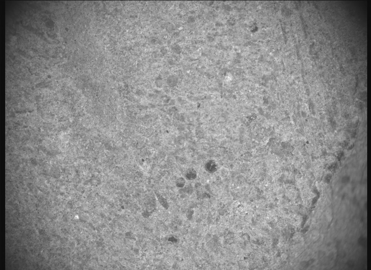 This image was taken by SHERLOC_ACI onboard NASA's Mars rover Perseverance on Sol 1480