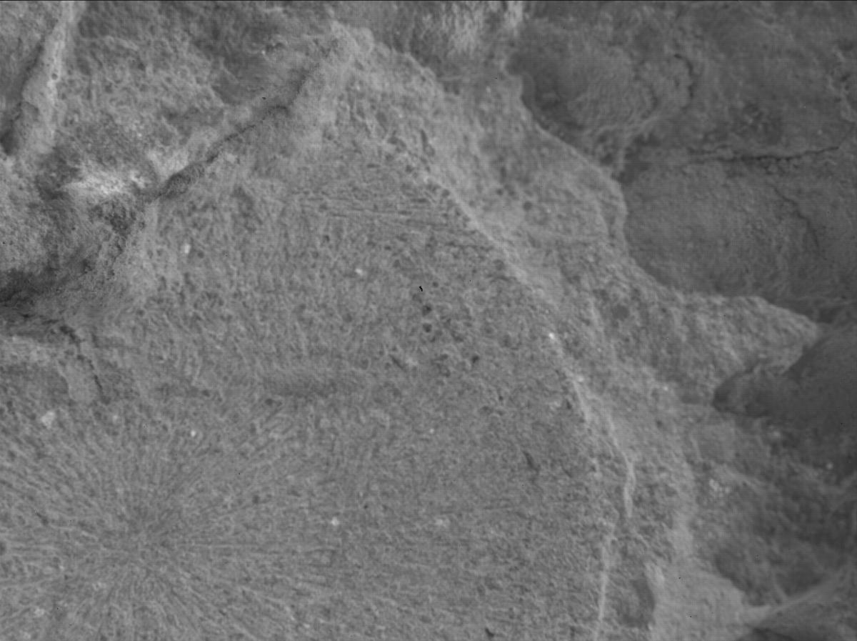 This image was taken by SHERLOC_WATSON onboard NASA's Mars rover Perseverance on Sol 1480