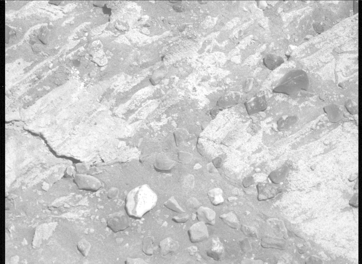 This image was taken by MCZ_LEFT onboard NASA's Mars rover Perseverance on Sol 1480