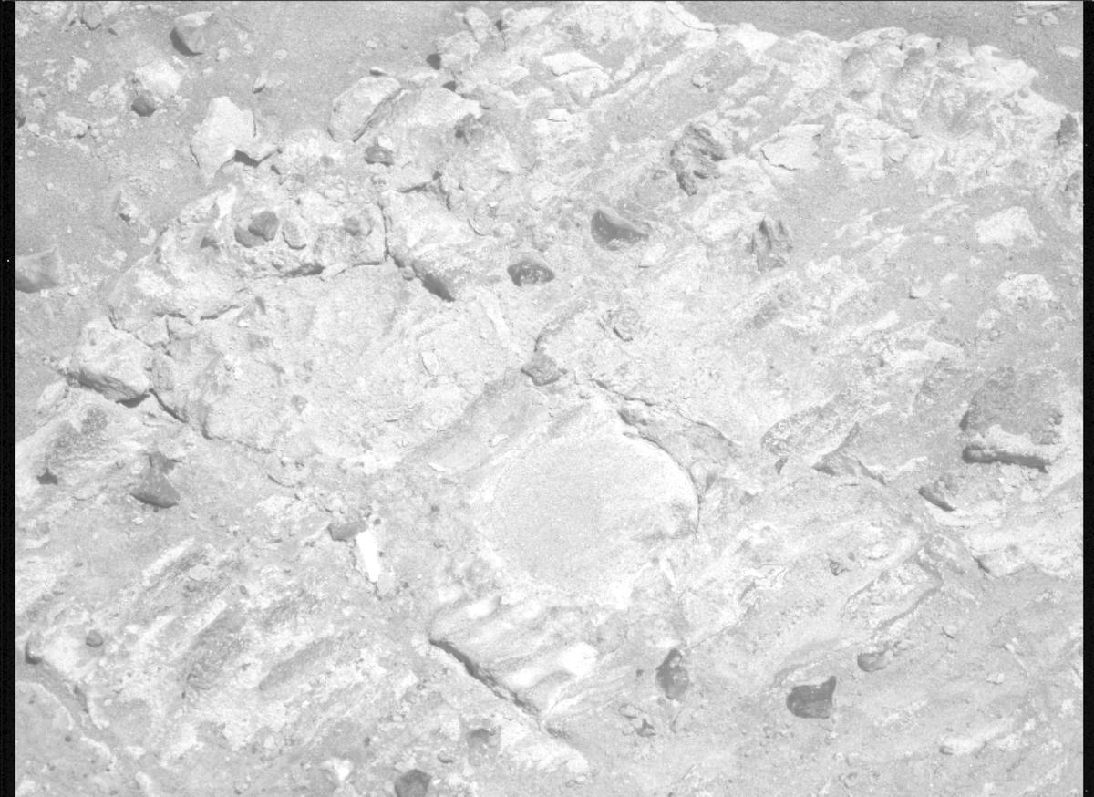 This image was taken by MCZ_LEFT onboard NASA's Mars rover Perseverance on Sol 1480