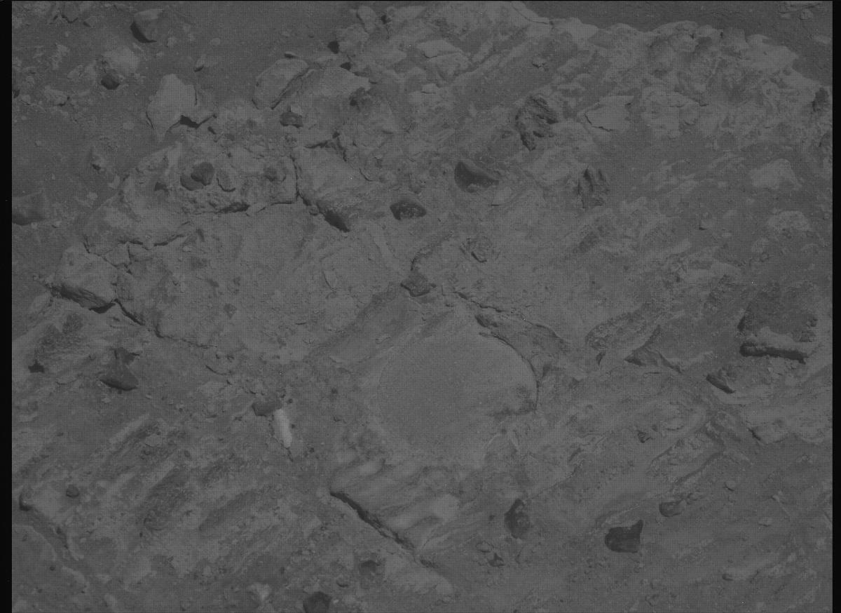This image was taken by MCZ_LEFT onboard NASA's Mars rover Perseverance on Sol 1480