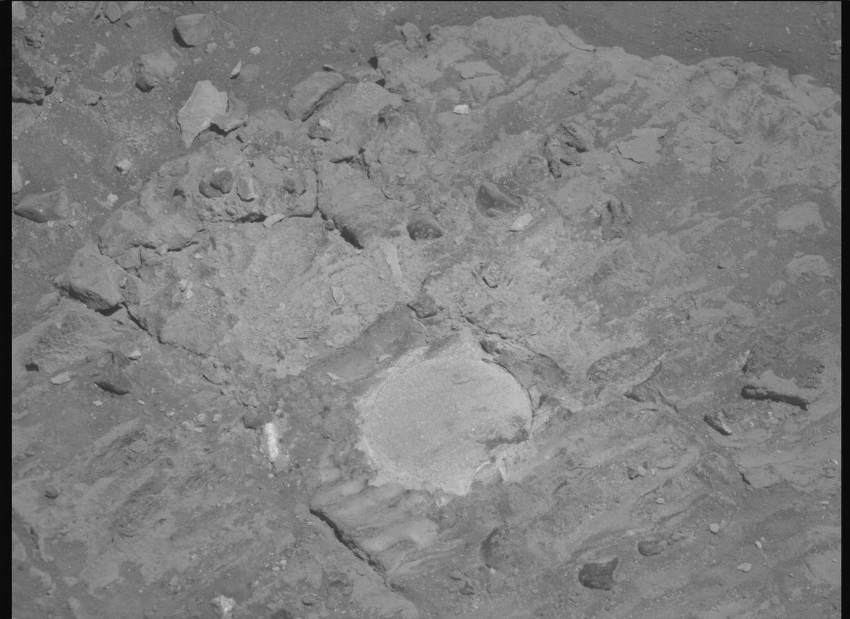 This image was taken by MCZ_RIGHT onboard NASA's Mars rover Perseverance on Sol 1480