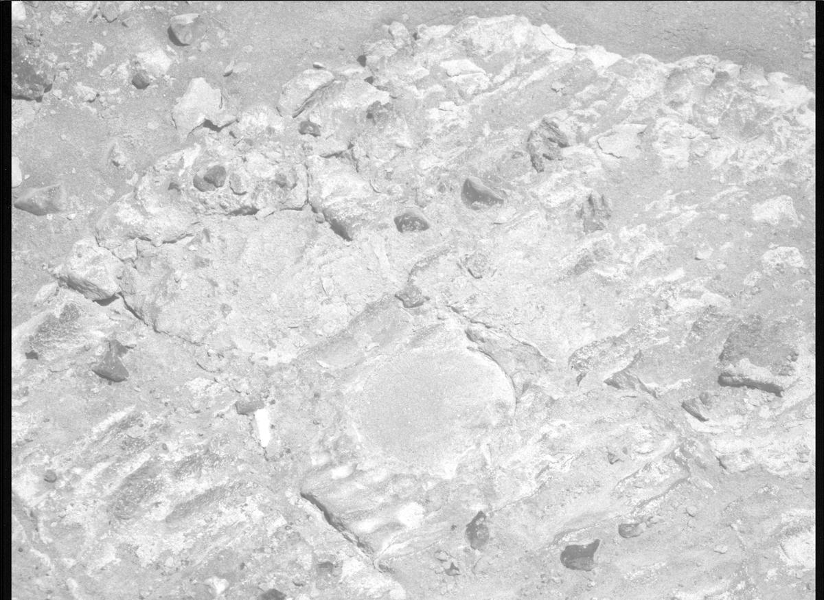 This image was taken by MCZ_RIGHT onboard NASA's Mars rover Perseverance on Sol 1480