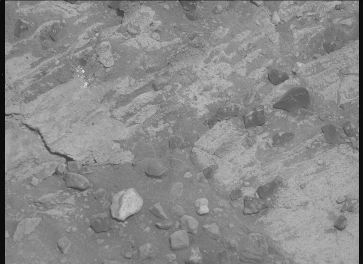 This image was taken by MCZ_RIGHT onboard NASA's Mars rover Perseverance on Sol 1480