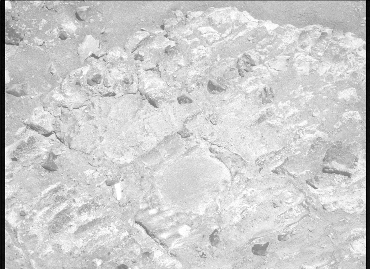 This image was taken by MCZ_RIGHT onboard NASA's Mars rover Perseverance on Sol 1480