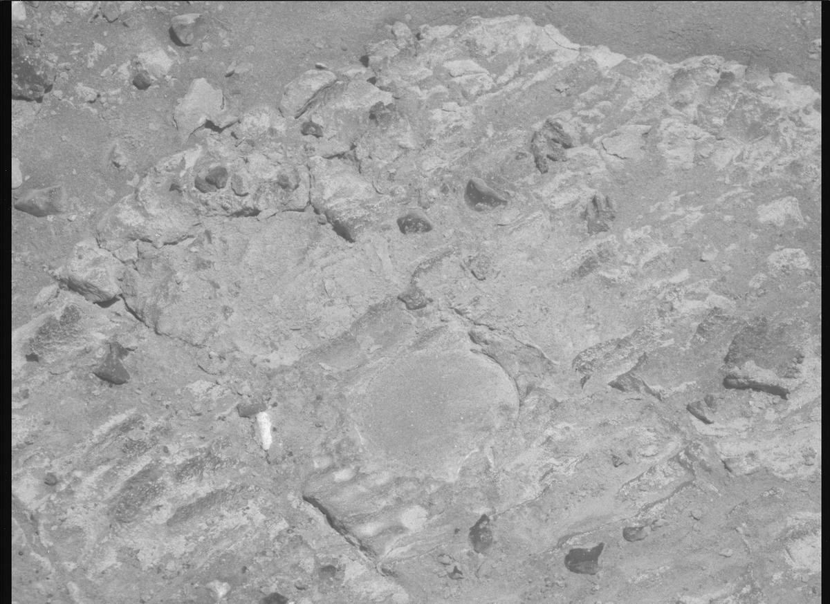 This image was taken by MCZ_RIGHT onboard NASA's Mars rover Perseverance on Sol 1480