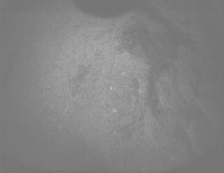 View image taken on Mars, Mars Perseverance Sol 1481: PIXL Camera 