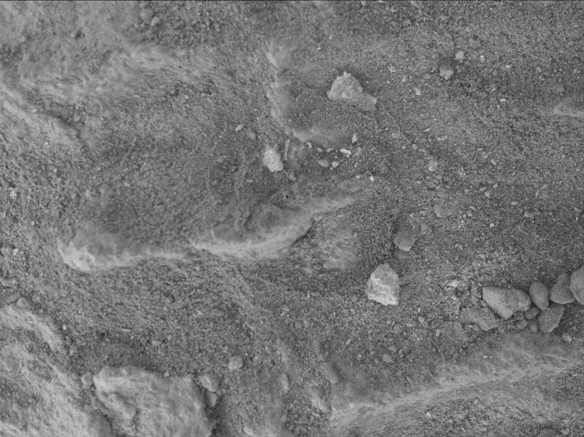 This image was taken by SHERLOC_WATSON onboard NASA's Mars rover Perseverance on Sol 1483