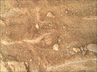 View image taken on Mars, Mars Perseverance Sol 1483: WATSON Camera 