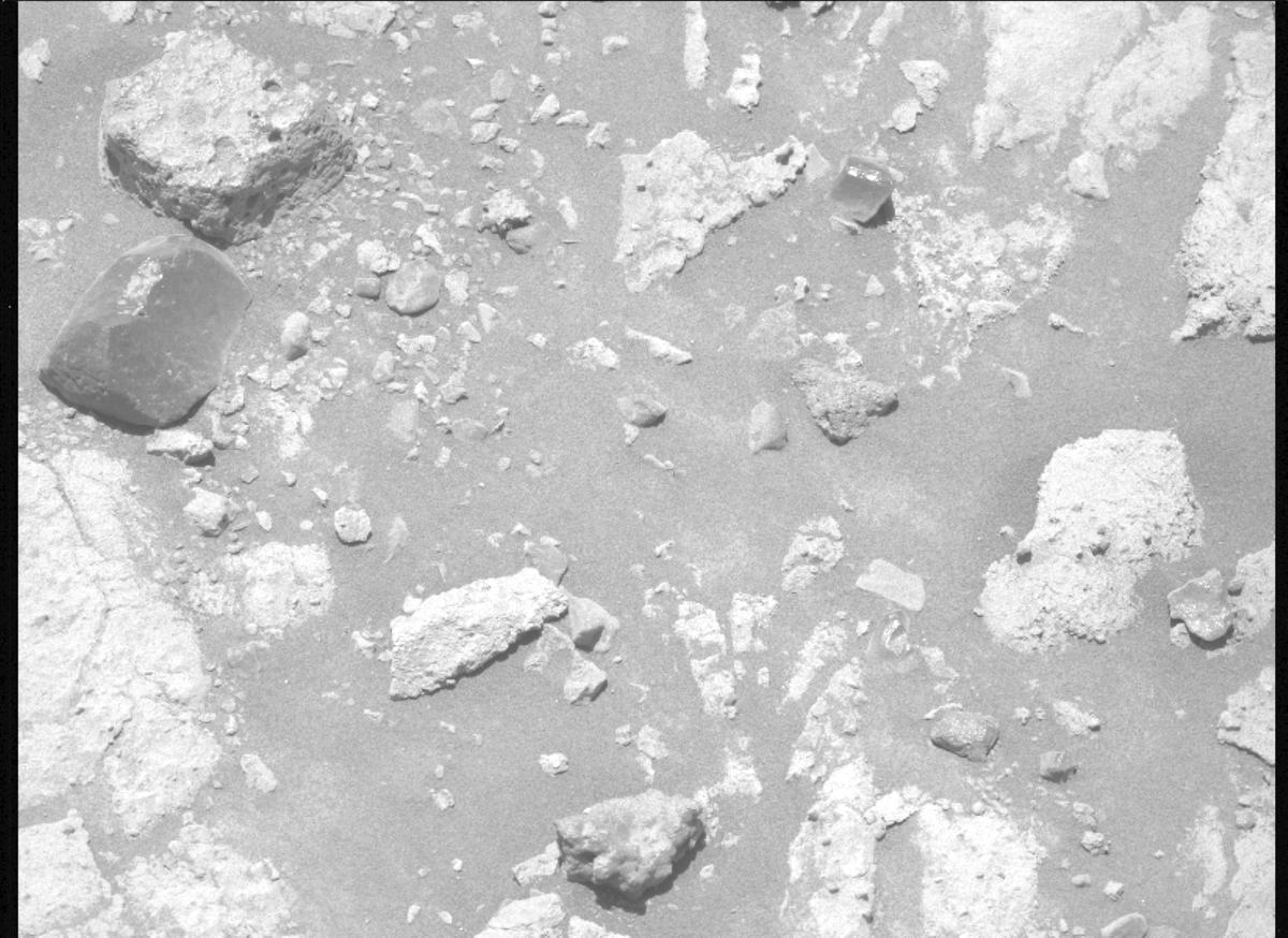This image was taken by MCZ_LEFT onboard NASA's Mars rover Perseverance on Sol 1490