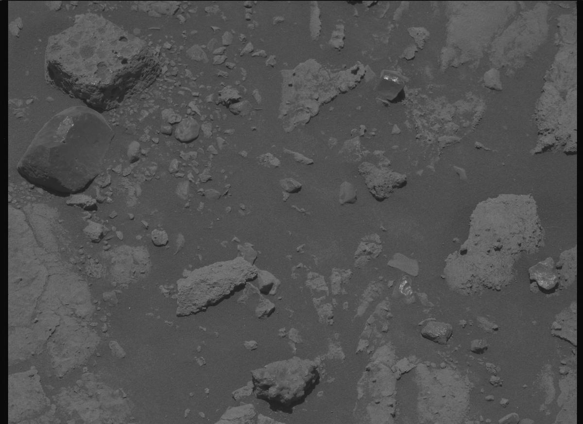 This image was taken by MCZ_LEFT onboard NASA's Mars rover Perseverance on Sol 1490