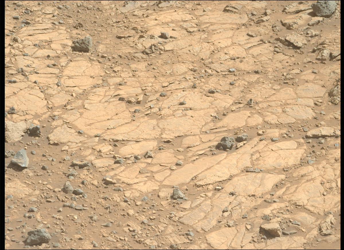 This image was taken by MCZ_LEFT onboard NASA's Mars rover Perseverance on Sol 1492