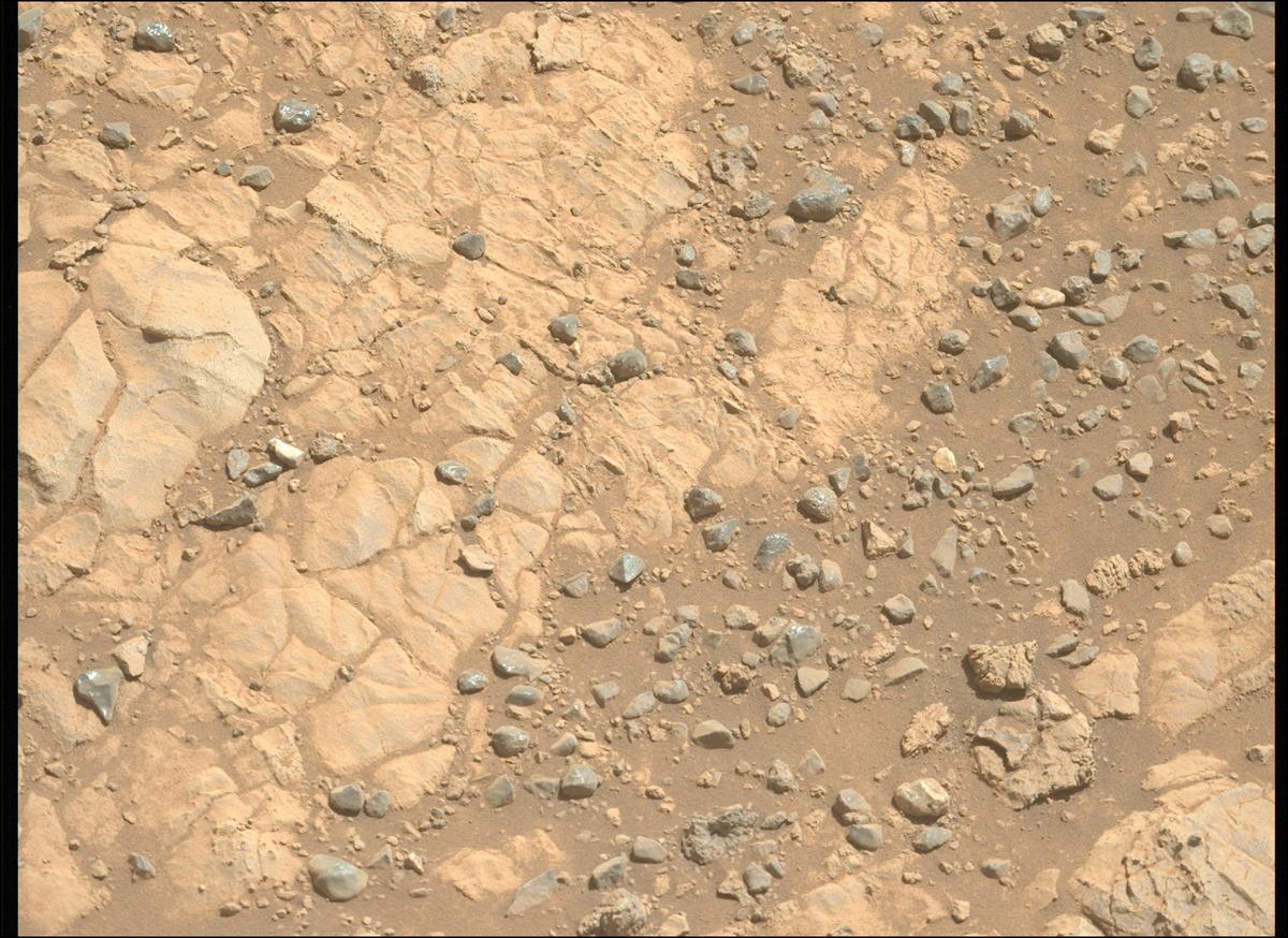 This image was taken by MCZ_LEFT onboard NASA's Mars rover Perseverance on Sol 1492