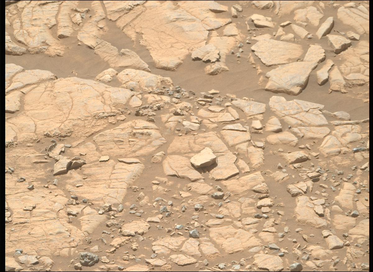 This image was taken by MCZ_RIGHT onboard NASA's Mars rover Perseverance on Sol 1492