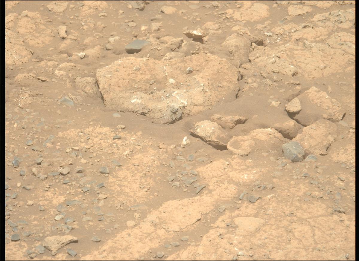 This image was taken by MCZ_LEFT onboard NASA's Mars rover Perseverance on Sol 1495