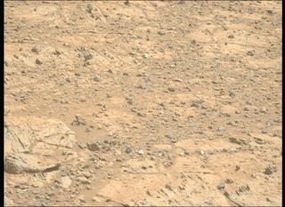 View image taken on Mars, Mars Perseverance Sol 1495: Left Mastcam-Z Camera