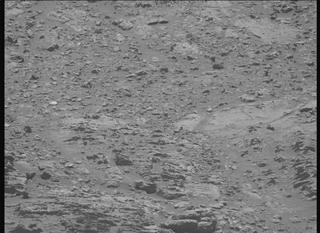 View image taken on Mars, Mars Perseverance Sol 1495: Left Mastcam-Z Camera