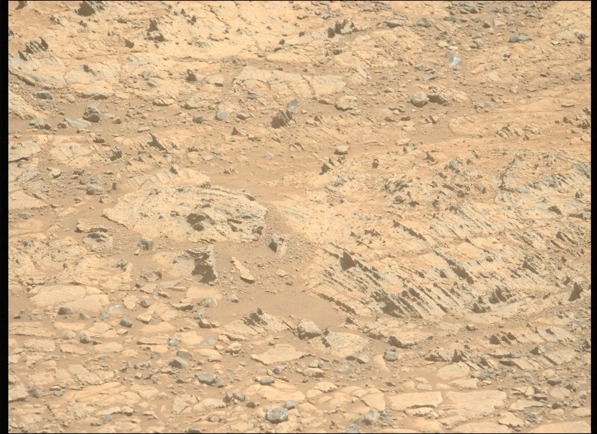 This image was taken by MCZ_LEFT onboard NASA's Mars rover Perseverance on Sol 1495