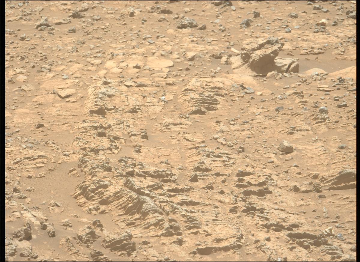 This image was taken by MCZ_LEFT onboard NASA's Mars rover Perseverance on Sol 1495