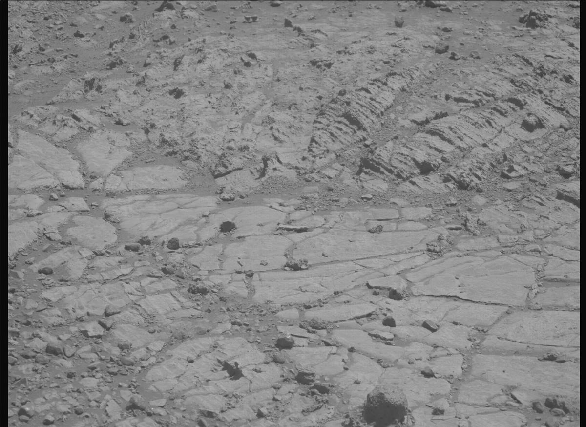 This image was taken by MCZ_LEFT onboard NASA's Mars rover Perseverance on Sol 1495