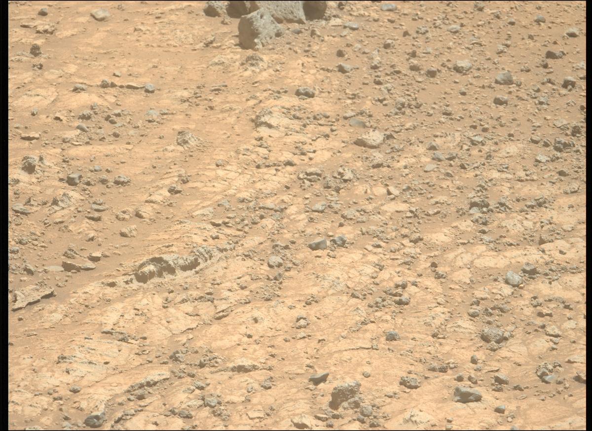 This image was taken by MCZ_LEFT onboard NASA's Mars rover Perseverance on Sol 1495