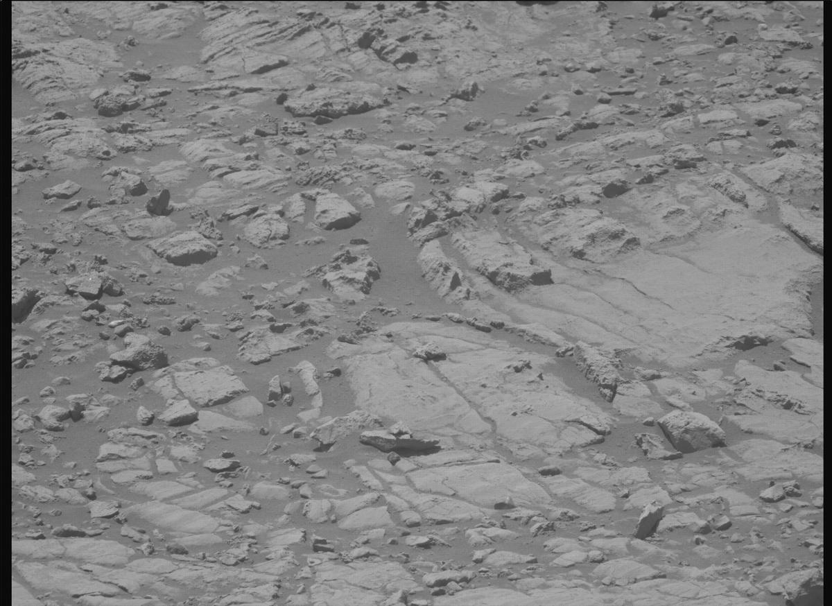 This image was taken by MCZ_LEFT onboard NASA's Mars rover Perseverance on Sol 1495