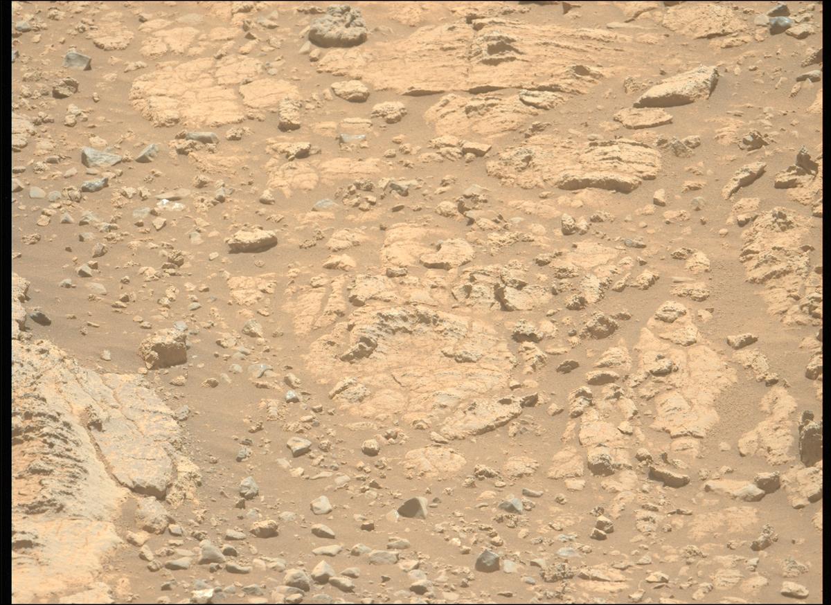 This image was taken by MCZ_LEFT onboard NASA's Mars rover Perseverance on Sol 1495