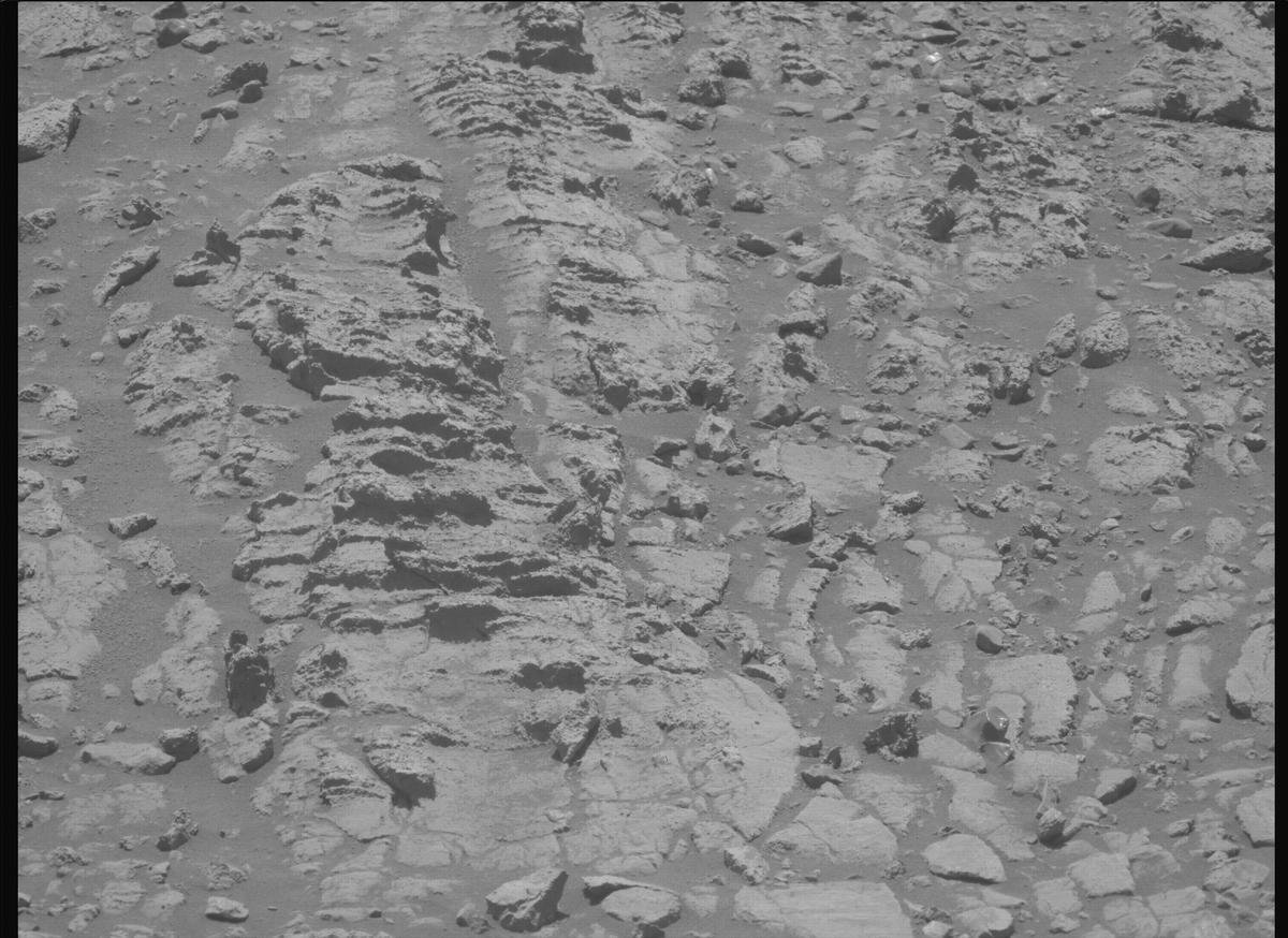 This image was taken by MCZ_LEFT onboard NASA's Mars rover Perseverance on Sol 1495