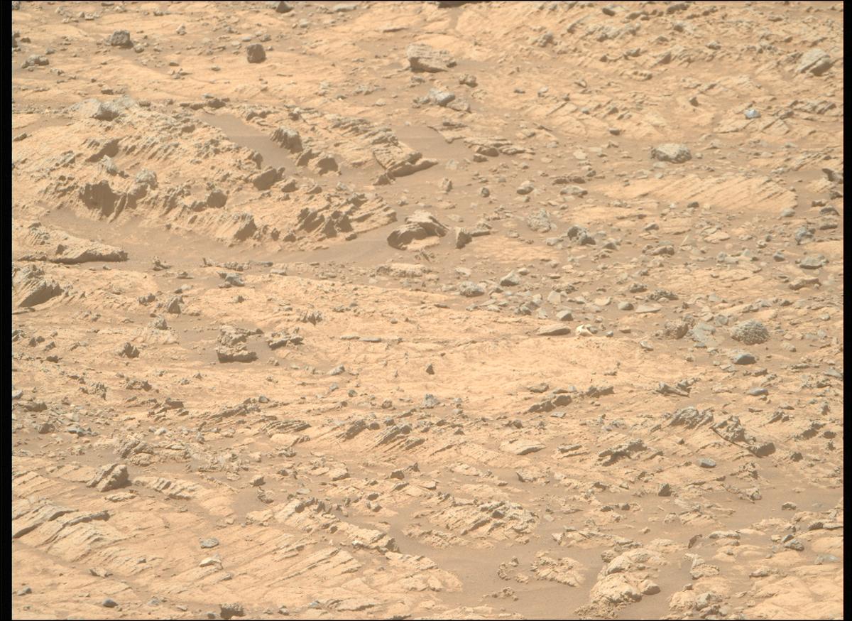 This image was taken by MCZ_RIGHT onboard NASA's Mars rover Perseverance on Sol 1495