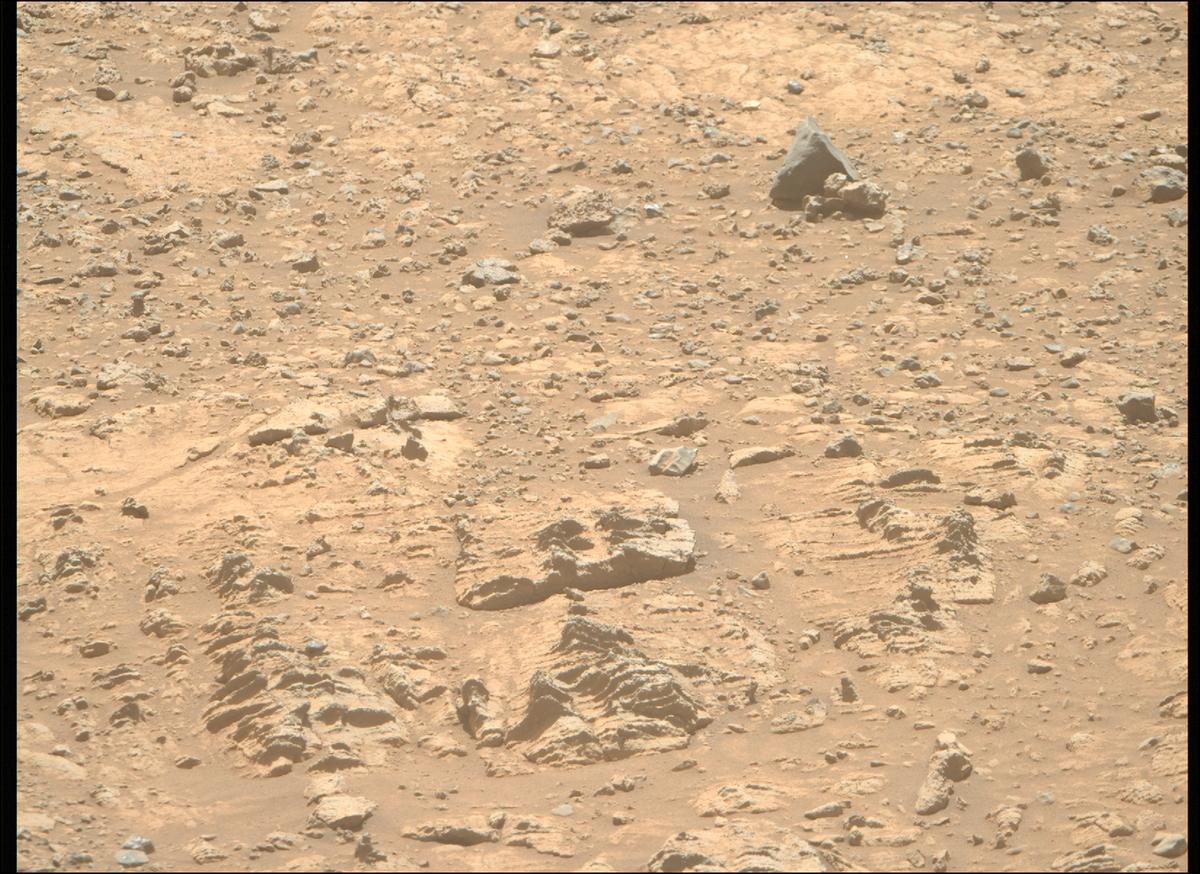 This image was taken by MCZ_RIGHT onboard NASA's Mars rover Perseverance on Sol 1495