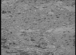 View image taken on Mars, Mars Perseverance Sol 1495: Right Mastcam-Z Camera