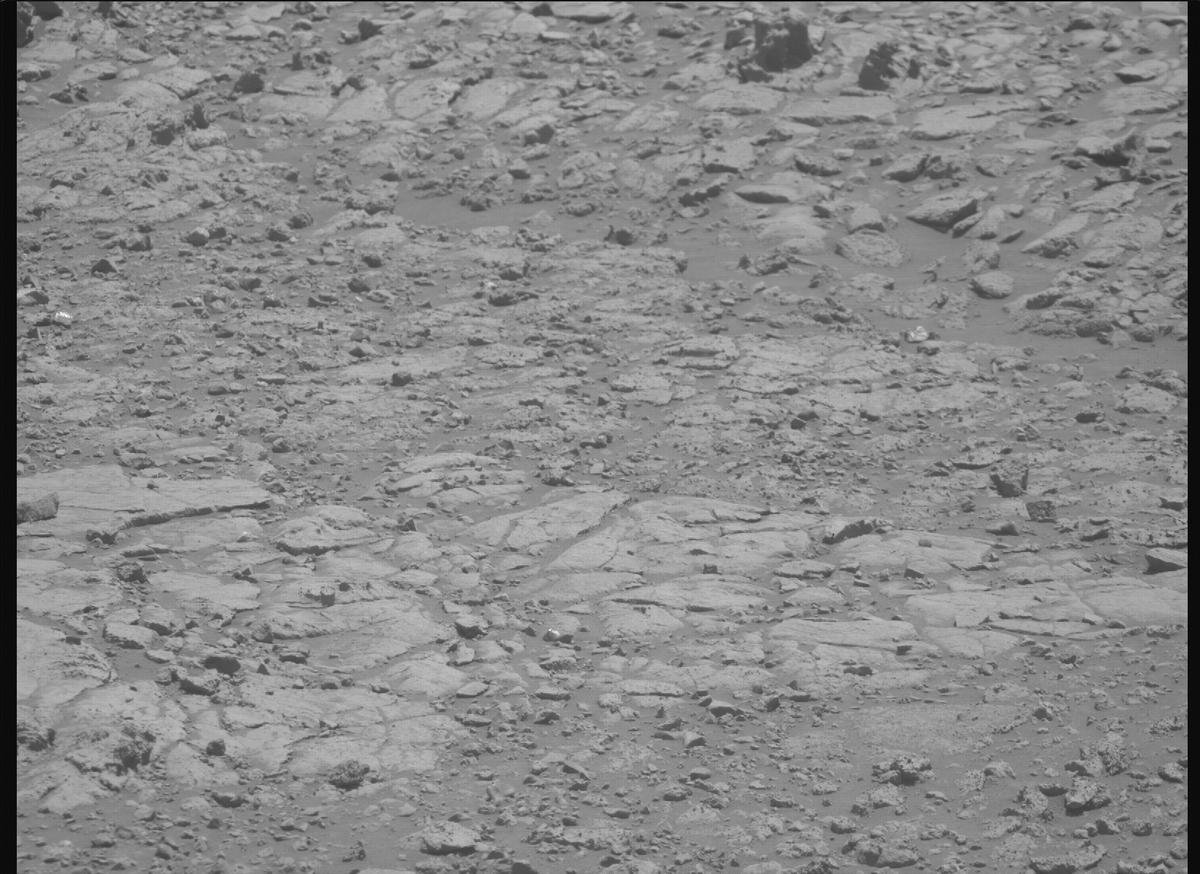 This image was taken by MCZ_RIGHT onboard NASA's Mars rover Perseverance on Sol 1495