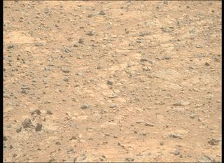 View image taken on Mars, Mars Perseverance Sol 1495: Right Mastcam-Z Camera
