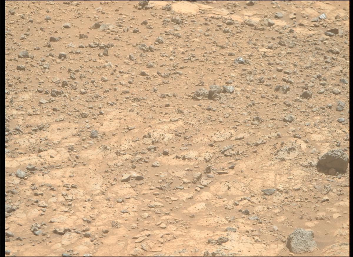 This image was taken by MCZ_RIGHT onboard NASA's Mars rover Perseverance on Sol 1495