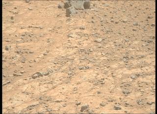View image taken on Mars, Mars Perseverance Sol 1495: Right Mastcam-Z Camera