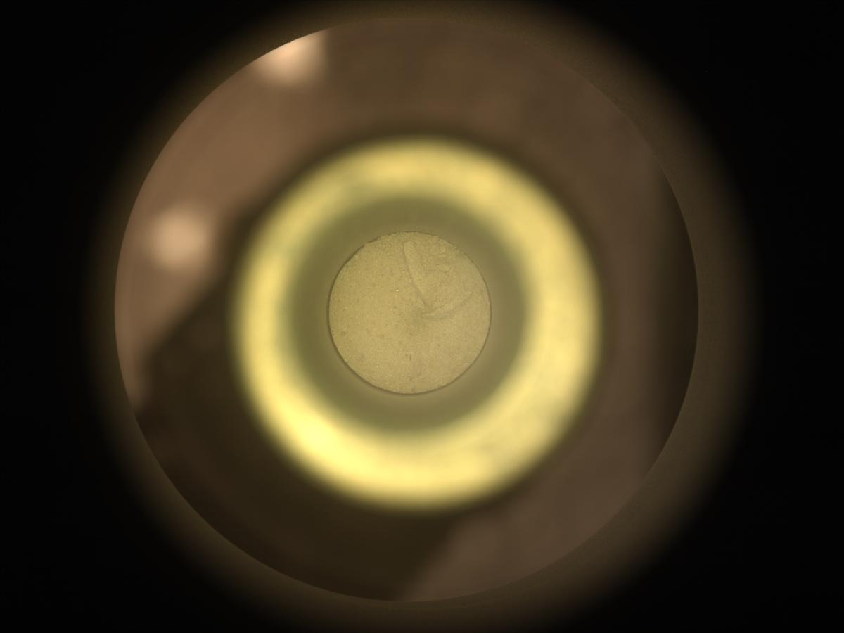 This image was taken by CACHECAM onboard NASA's Mars rover Perseverance on Sol 1497