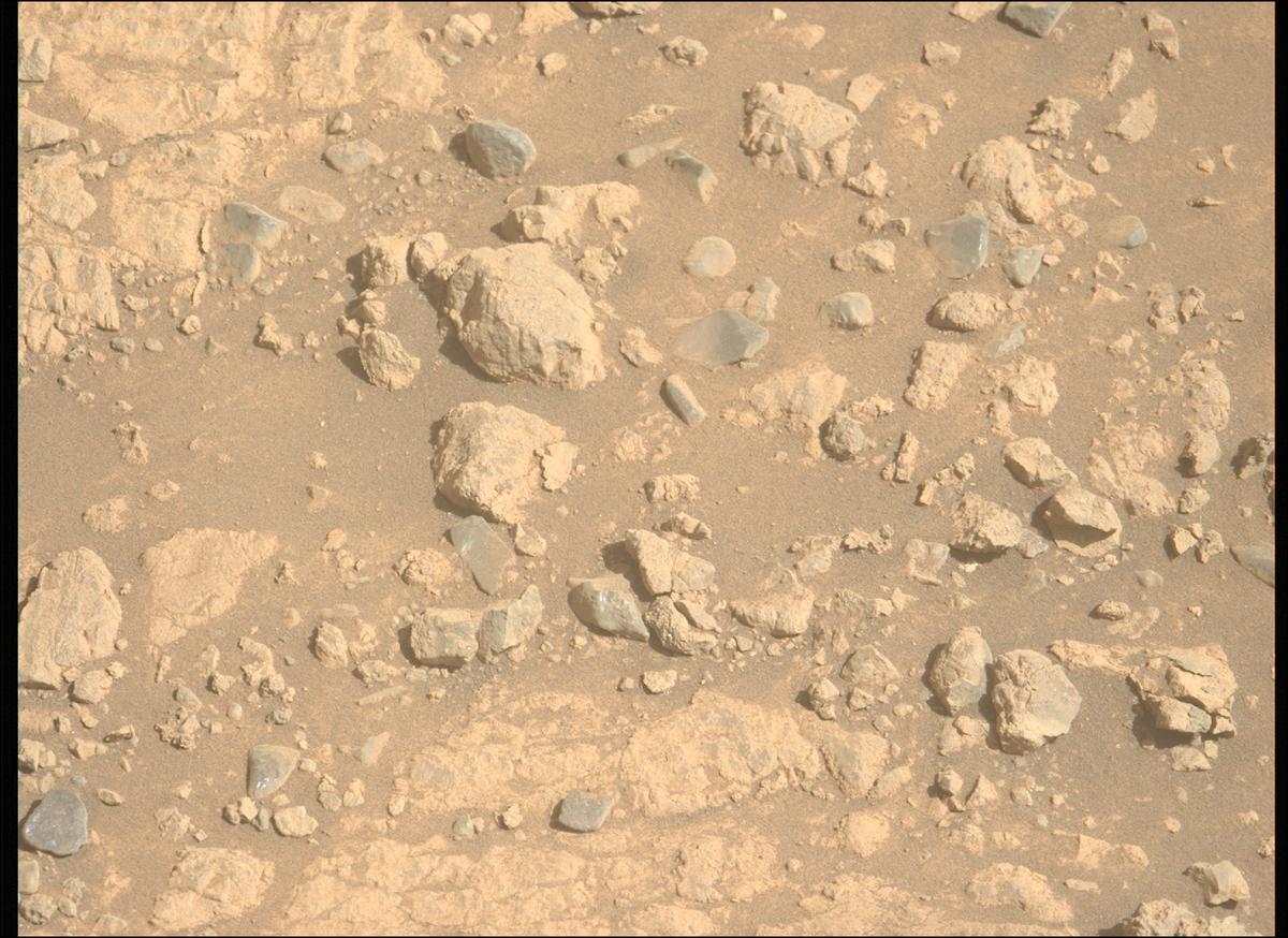This image was taken by MCZ_LEFT onboard NASA's Mars rover Perseverance on Sol 1499