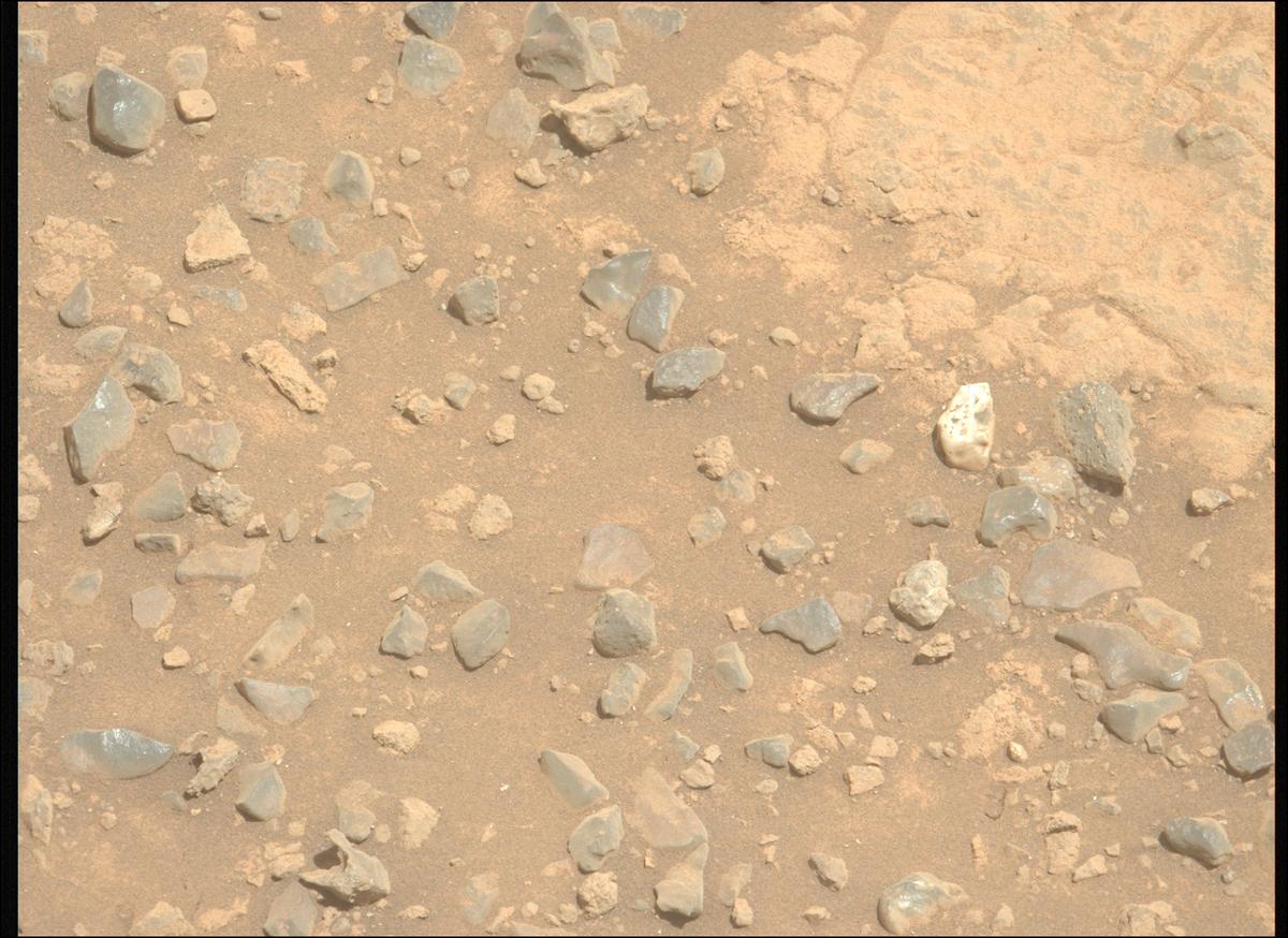 This image was taken by MCZ_LEFT onboard NASA's Mars rover Perseverance on Sol 1499