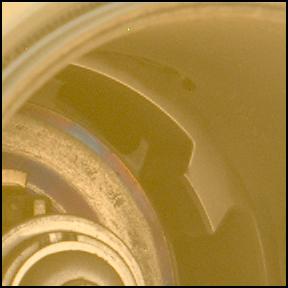 This image was taken by MCZ_LEFT onboard NASA's Mars rover Perseverance on Sol 1499