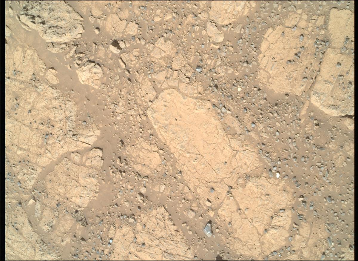 This image was taken by SHERLOC_WATSON onboard NASA's Mars rover Perseverance on Sol 1500