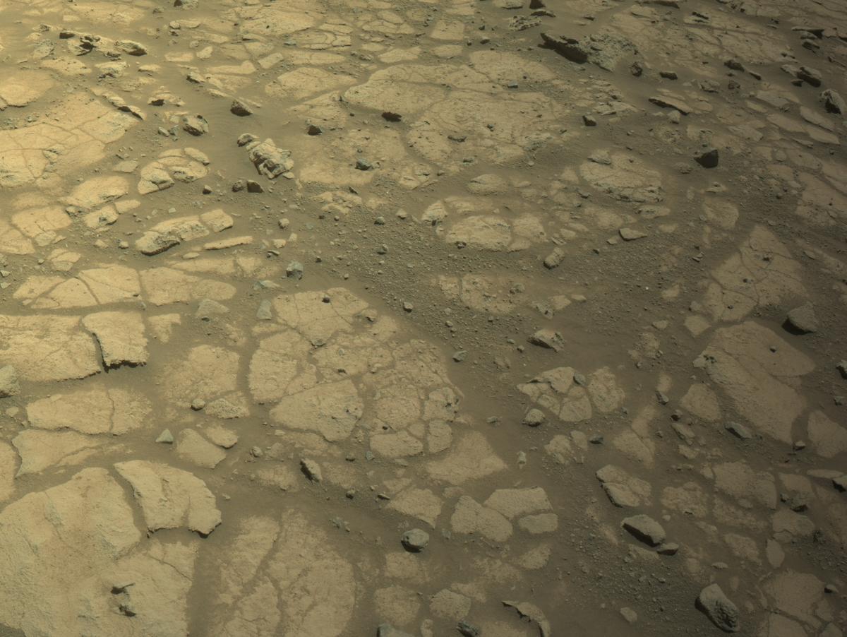 This image was taken by NAVCAM_LEFT onboard NASA's Mars rover Perseverance on Sol 1503