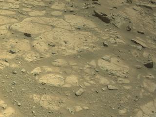 View image taken on Mars, Mars Perseverance Sol 1503: Right Navigation Camera (Navcam)