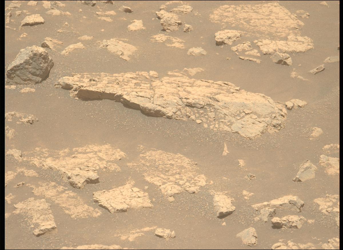 This image was taken by MCZ_LEFT onboard NASA's Mars rover Perseverance on Sol 1503