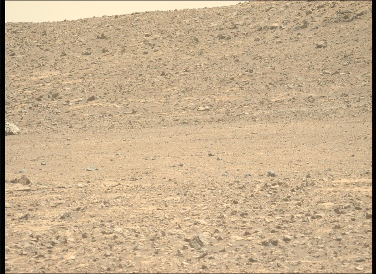 This image was taken by MCZ_LEFT onboard NASA's Mars rover Perseverance on Sol 1503