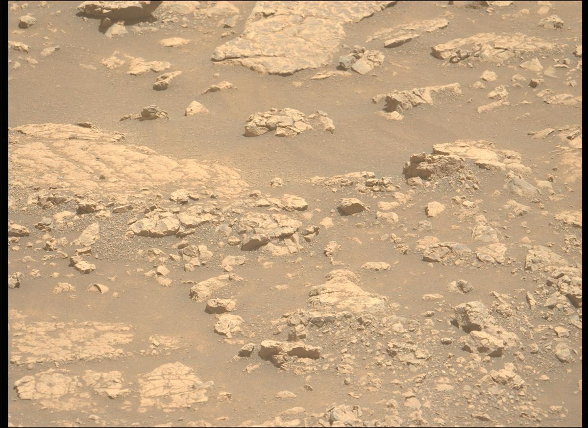 This image was taken by MCZ_LEFT onboard NASA's Mars rover Perseverance on Sol 1503