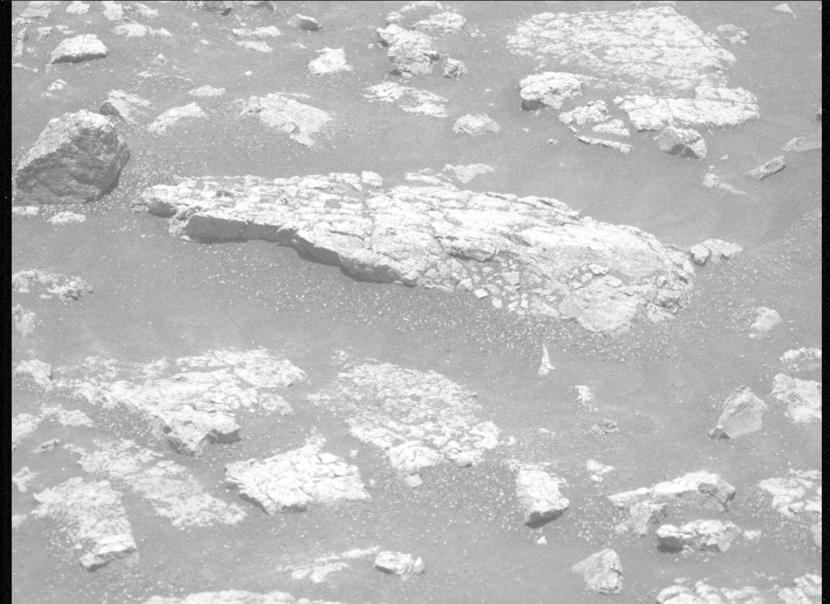 This image was taken by MCZ_LEFT onboard NASA's Mars rover Perseverance on Sol 1503