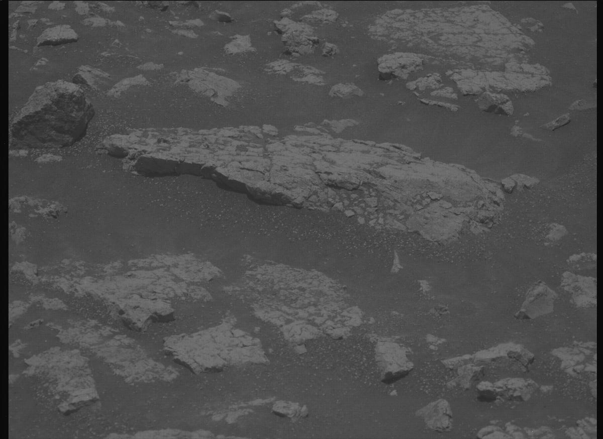 This image was taken by MCZ_LEFT onboard NASA's Mars rover Perseverance on Sol 1503